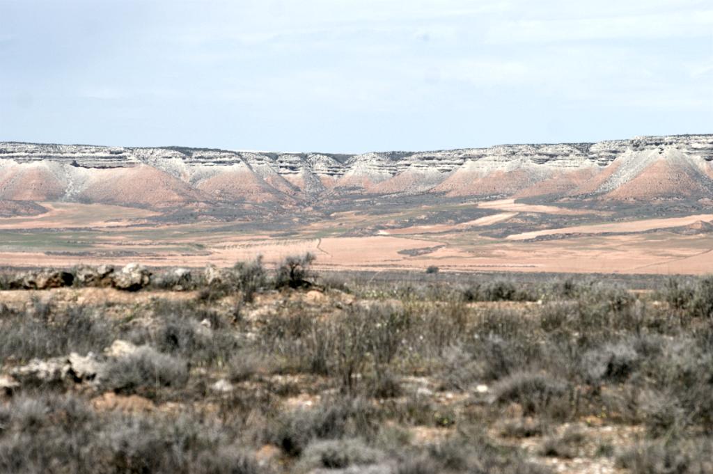 El Planerón
